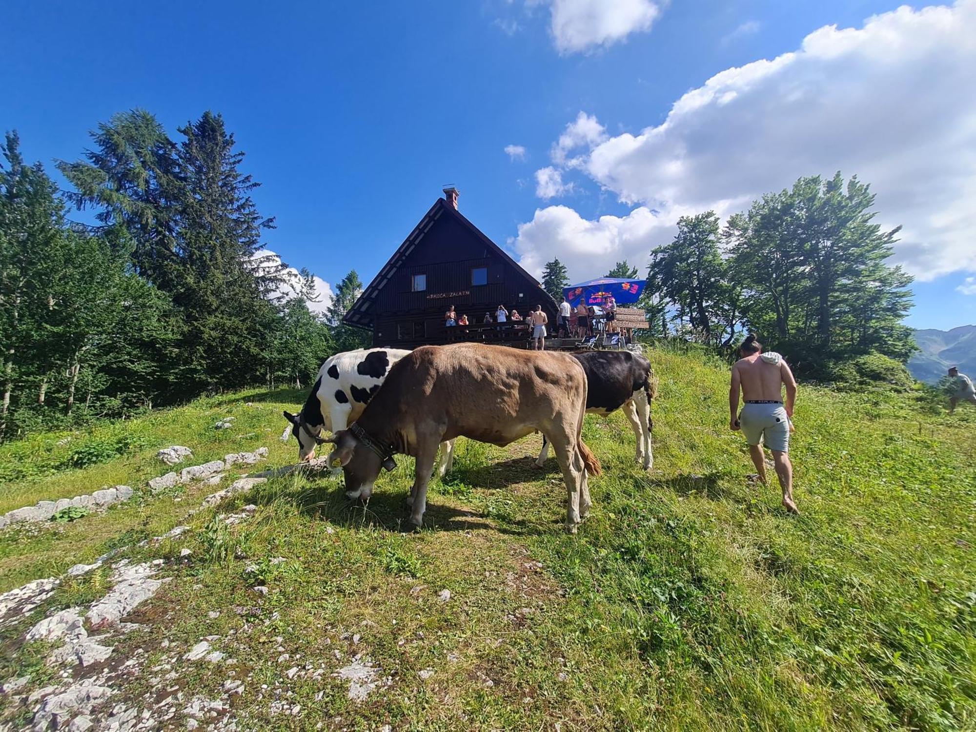 Chalet Burja At Vogel Mountain - Cable Car Access Or Hiking - Not Reachable With Car Bohinj Εξωτερικό φωτογραφία